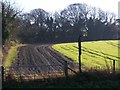 Field above the B2139 at Amberley