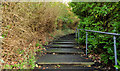 Steps, Belvoir, Belfast