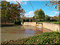 Waterfall in Stockley Park