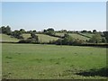 Pasture at Hazelwood Green