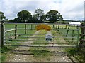 Gate / Entrance to Sunny Pooh Corner