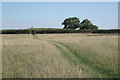SP1667 : Heart of England Way crossing a pasture by Robin Stott