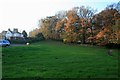 Trees on the eastern edge of Bingham Park