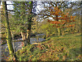 Riverside Path, River Etherow