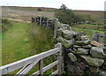 Path junction below Pinnican Hill