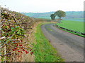 Farm track; late autumn