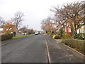 Ashfield Drive - looking up from Green Acre Close