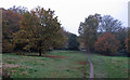 Centenary Walk looking towards Oak Hill