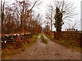 Track to High Moor of Killiemore