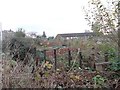 Allotments - Worthing Head Road