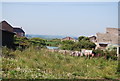 Disused quarry, Beadnell