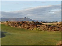 NH7387 : Carnegie Golf Course by sylvia duckworth