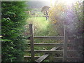 Footpath out of Llandrillo in autumn