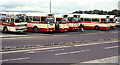 C4316 : Swilly buses, Londonderry by Albert Bridge