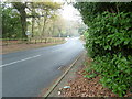 B2128 Horsham Road entering Cranleigh