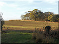 Fields near High Hatton Hall