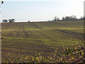 Open fields with house just over the rise