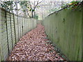 Enclosed footpath off the B2128