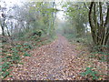 Bridleway 373 north to the eastern edge of Cranleigh