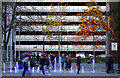 Fountains by Central Library