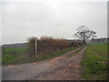 Footpath off Chetwynd Road