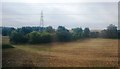 Pylon in a small woodland