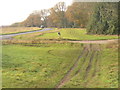 Erosion by Ranmore Common Road