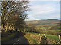 Looking down the lane