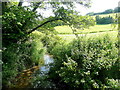 The Ayleston Brook