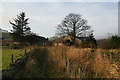 Path to Walker Fold Farm