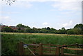 Flood plain of the River Wey