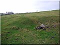 NZ1167 : Spring near site of Mithras Temple, Rudchester by Andrew Curtis