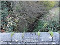 The brook runs under the Llanfair Road