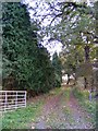 Footpath to Tuttles Wood