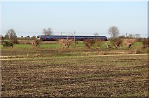 TL5065 : Kings Lynn train by John Sutton
