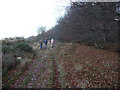 Track on Silvington Common