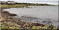 The shore near Donaghadee