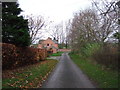 Warlaby Lane towards Ainderby Steeple