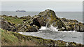 Shore and ferry near Donaghadee