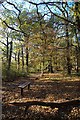 Claybury Wood