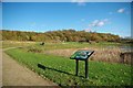 A Claybury Park Pond