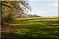 Footpath from Parsonage Lane to Stapleford Farm