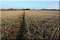 SO9208 : Footpath through a stubble field by Philip Halling