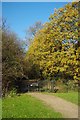 A Gate to Claybury Park