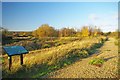 River Roding Enhancement project