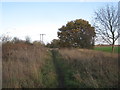 The path leading to the Humberhead Peatlands National Nature Reserve