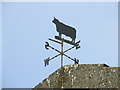 Weather Vane