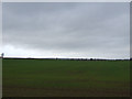 Farmland, Bolton Moors