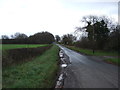 Lane heading east towards Danby Wiske