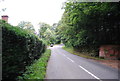 Rural lane near Rogate Common